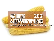 产品名称五