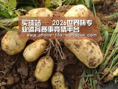 种植基地六