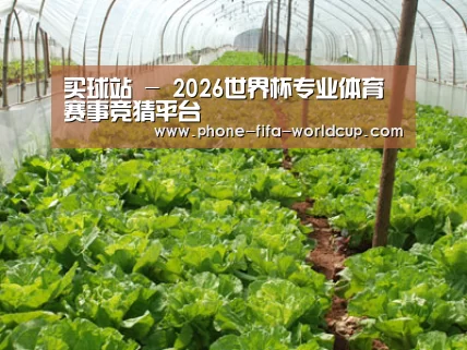 种植基地五