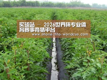种植基地三
